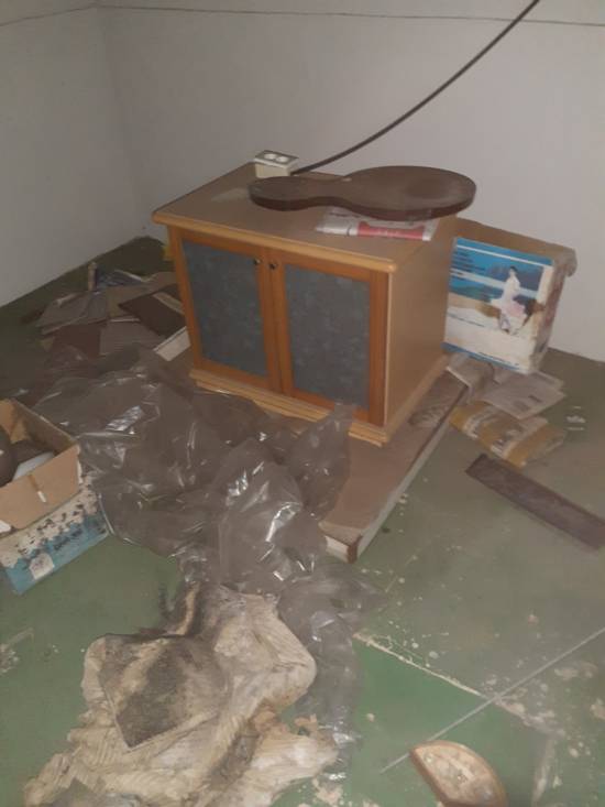 case11.jpg